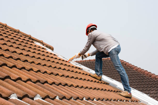 Best Metal Roofing Installation  in Delta, CO